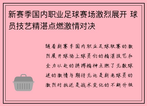 新赛季国内职业足球赛场激烈展开 球员技艺精湛点燃激情对决