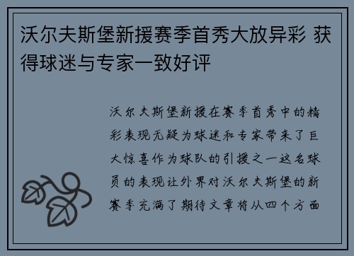 沃尔夫斯堡新援赛季首秀大放异彩 获得球迷与专家一致好评