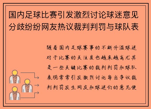 国内足球比赛引发激烈讨论球迷意见分歧纷纷网友热议裁判判罚与球队表现